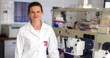 Nachwachsende dritte Zähne könnten bald Realität werden