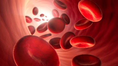 „Blutverdünner“ unbedenklich bei mkg-chirurgischen Eingriffen „Blutverdünner“ unbedenklich bei mkg-chirurgischen Eingriffen