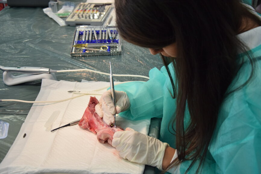 (Photograph: Franziska Beier, DTI) 