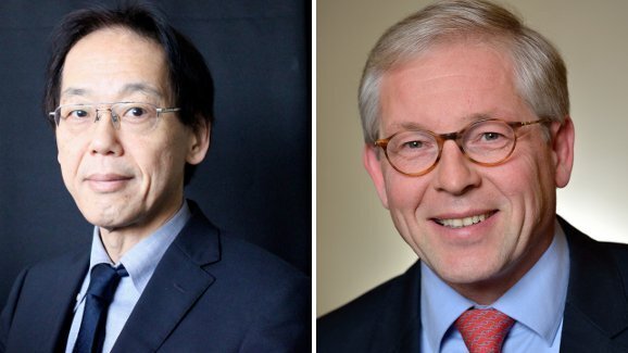 施普林格推出开放式国际种植牙科学期刊