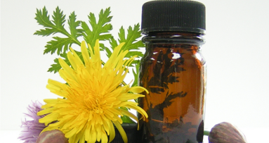 Osteointegrazione: uno studio sull’efficacia della medicina omeopatica