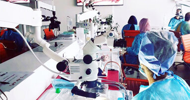 Increase your confidence in endo. Apply now for CAPP’s Clinical Endodontics Postgraduate Diploma