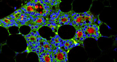 Dental stem cells able to generate milk-producing cells in mice