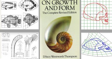 Sobre la validez de los biotipos faciales