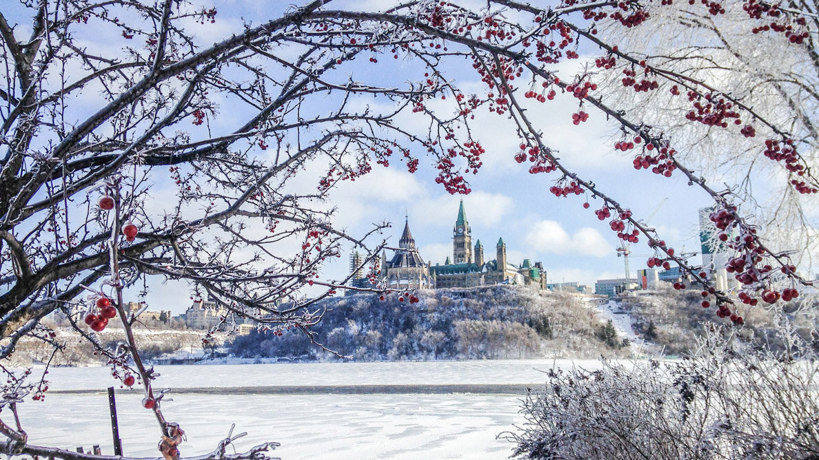 Canadian oral-health associations support consideration of national dental care