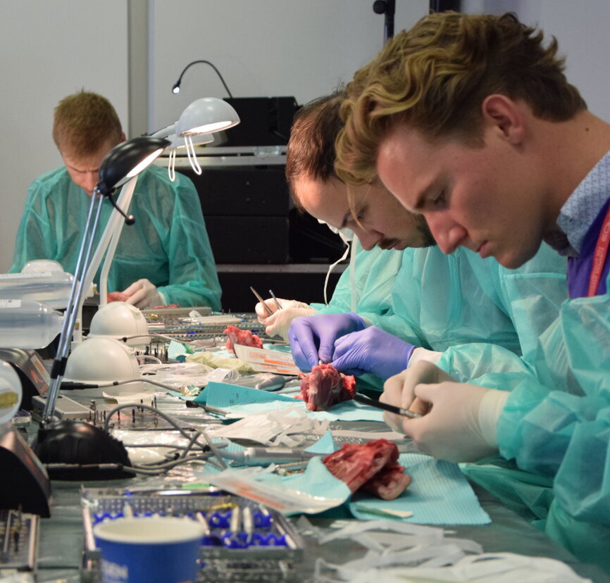 (Photograph: Franziska Beier, DTI) 