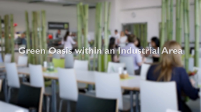 Dürr Dental - Our rooftop garden a green oasis Dürr Dental - Our rooftop garden a green oasis