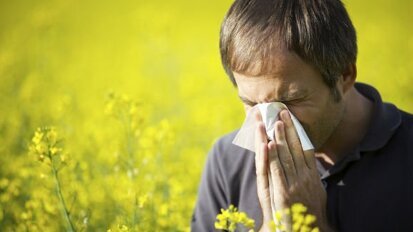 В САЩ е одобрена първата сублингвална терапия срещу поленови алергии