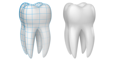 Amelotin: Entscheidend für Wachstum von Zahnschmelz