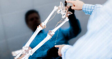 Formazione virtuale anatomica attraverso un nuovo schermo