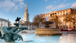 BDIA Dental Showcase