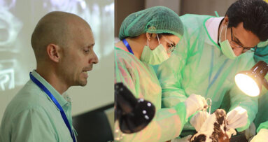 1st UHS IDC: Pre-Conference Workshops