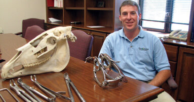 Interview: Why shouldn’t you ‘look a gift horse in the mouth’?