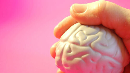 La potenza dei neuroni specchio può aiutare anche il dentista