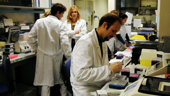 Presentata la graduatoria “Ricerca Finalizzata e Giovani Ricercatori 2011-2012”