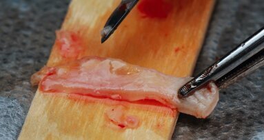 Hội nghị Perio Master Clinic 2022 sẽ được tổ chức tại Mexico