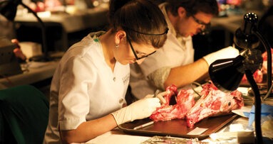 JDIQ to include national gathering of prosthodontists