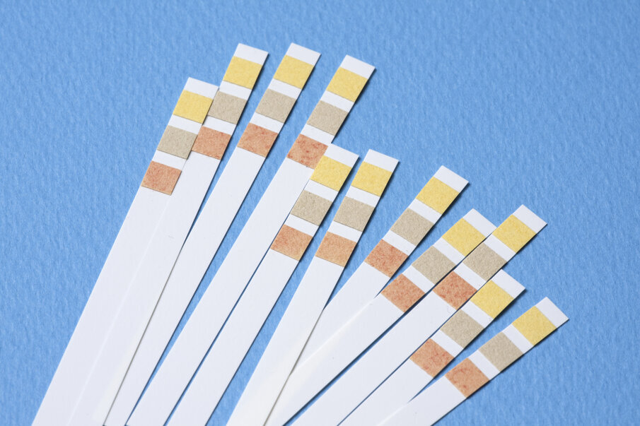 Fig. 3 (KPG Payless2/Shutterstock).