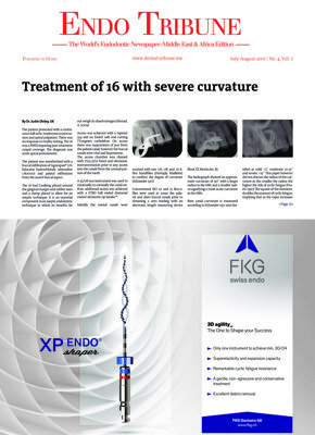 Endo Tribune Middle East & Africa No. 4, 2017