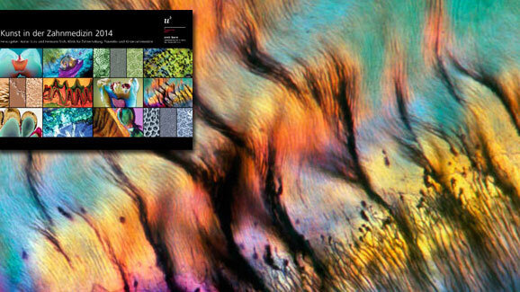 Neuer Kalender der ZMK Bern