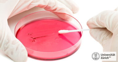 Versteckte Bakterien aufspüren