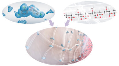 Il controllo chimico della placca nella terapia delle malattie parodontali e perimplantari placca-indotte