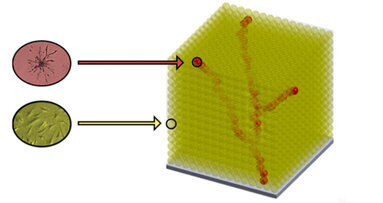 Funktionsfähige Knochen aus dem 3-D-Drucker