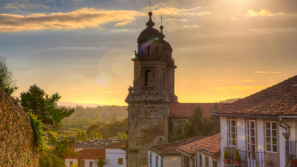 SEPA International Symposium 2020