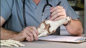 口腔细菌导致人工关节置换失败