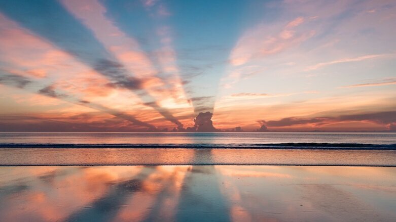 Consejos para sobrevivir una pandemia (1)