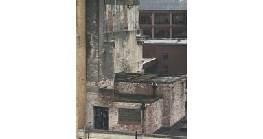 Column Casper P. Bots: Zie de boom op je dak