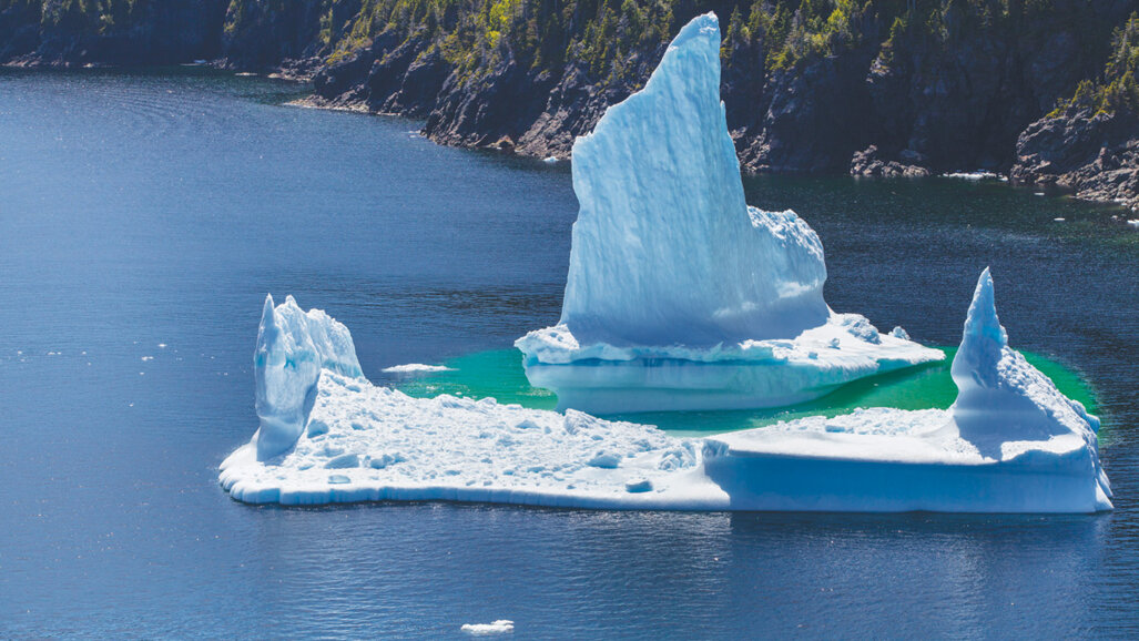 Pacific Dental Conference name badge earns discounted ticket to FlyOver Canada