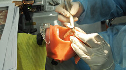 Prof. Paul Tipton: Veneers, Bonded Crowns and Bridge Design. Hands-on course