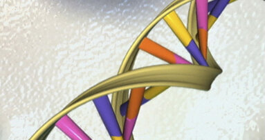 Quasi un terzo del genoma umano è coinvolto nella gengivite