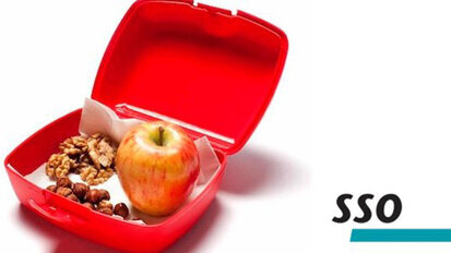 Anleitung zu gesunden Znüni in Berner Schulen Anleitung zu gesunden Znüni in Berner Schulen