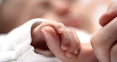 Neue Erklärung für Lippen-Kiefer-Gaumenspalten