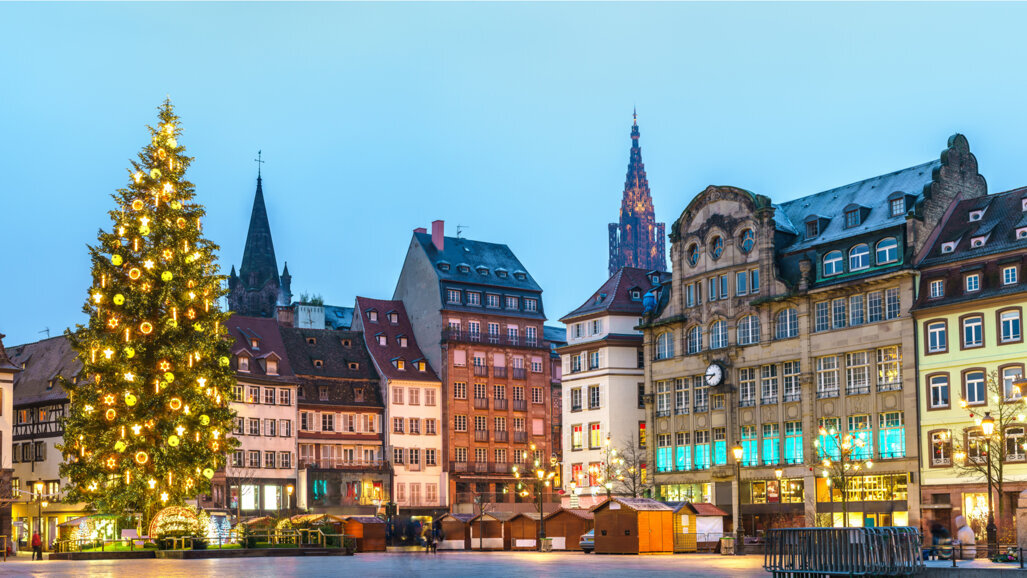 La papille, on vous dit tout!