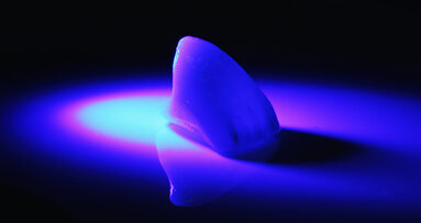 Първият конгрес на Българското дружество по медицинска фотография ще се проведе през април