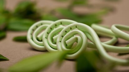 DirectaDentalGroup – Hygoformic Bio