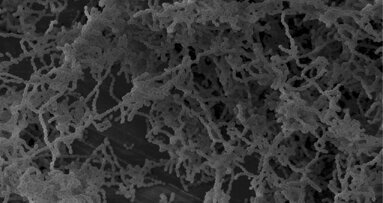 Antiseptika: Resistente Mikroben im Mund erforschen