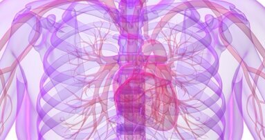 Mund-Infektionen attackieren Blutgefäße