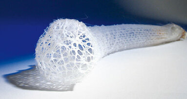 Nanotechnik mittels Tiefseebiomineralien