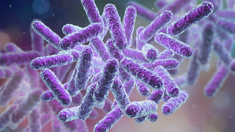 Protobiotici: ancora un falso mito