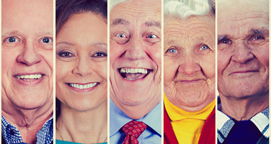 Anzahl der Zähne bestimmt Lebensalter