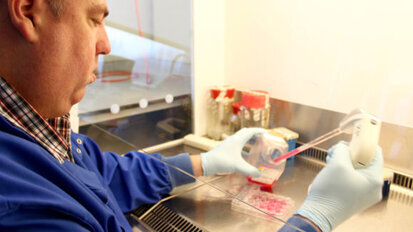 New discovery helps strengthen bonding of titanium implants to bone