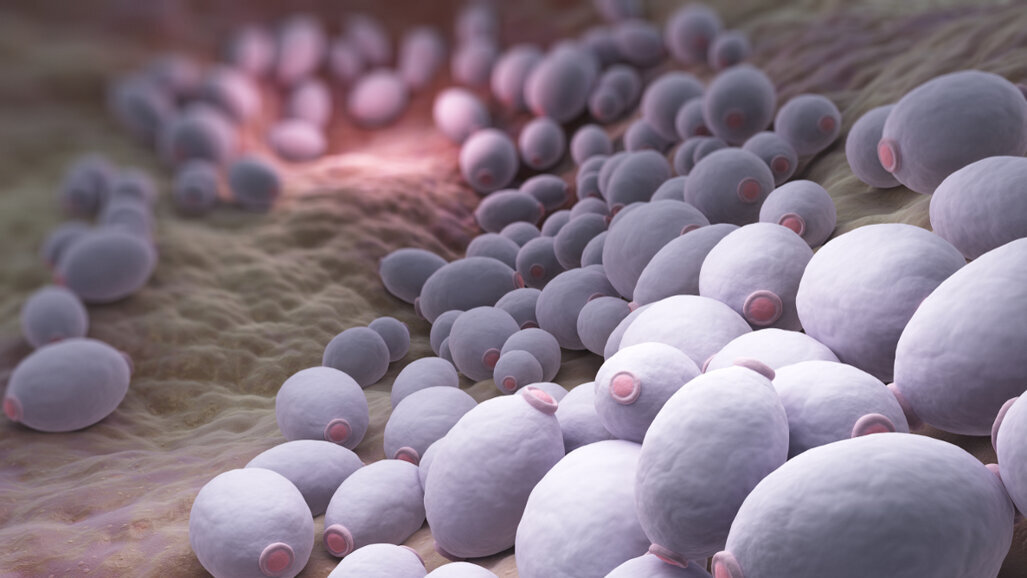 Pronađen mehanizam pojave oralne kandidijaze