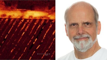 Webinar: Fehlervermeidung bei der Anwendung von Adhäsivsystemen