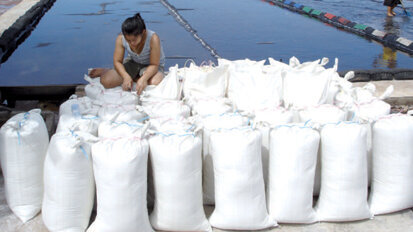 Fluoridated salt used in global fight against caries Fluoridated salt used in global fight against caries