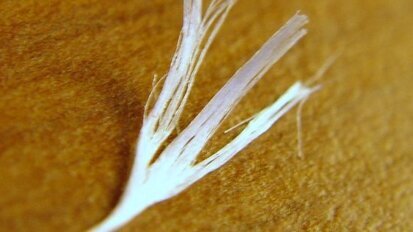 Bioinżynierowie „wynitkują” niepożądane gazy z odchodów zwierzęcych