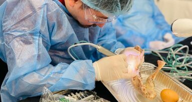 Actualizarse o perecer, esa es la cuestión